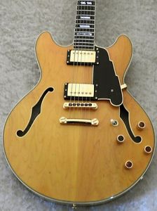 D'Angelico Limited Edition New Yorker DC Semi Hollow Guitar Free Shipping Rare