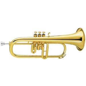 Flicorno Amati AFH 201-O