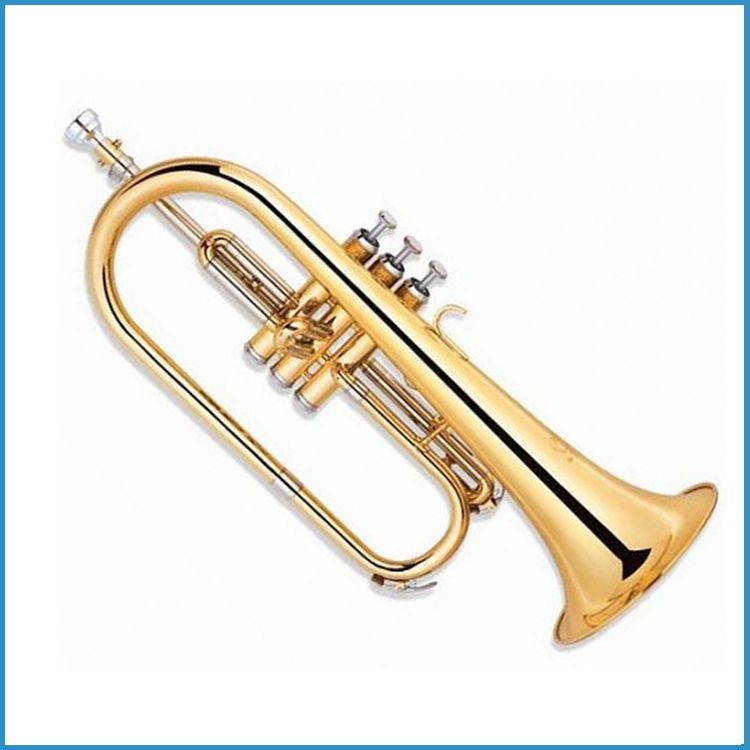 flugelhorn entry model/Bb key Flugelhorn/cupronickel slide flugelhorn