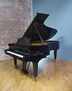 2005 Bechstein Semi-Concert Grand Piano - Video clips available for viewing