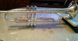 Trumpet Fides 8000