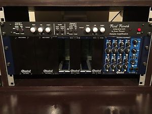 Radial Engineering Workhorse 5000