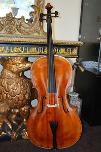 Decke und Boden Gewölbt!! Cello Celli Korpuslänge:75,9cm