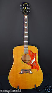 Gibson / Dove Acoustic Guitar