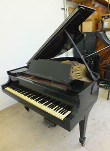 1917 STEINWAY Model "M" HIGHLY POLISHED EBONY Baby Grand Piano RESTRUNG