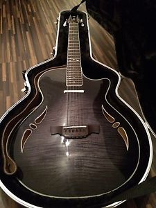 12-Saiter Crafter Hybrid Akustik Tonabnehmer Und Single Coil Mit Überblendregler