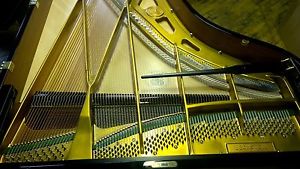 in New York City, new in 2012 BECHSTEIN A228 Semi Concert Grand Piano