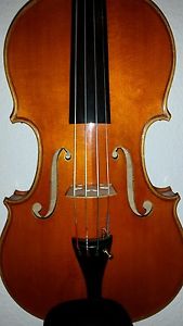 Viola Bratsche Pietro Fantozzi Roma
