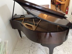Baby Grand Piano One Day (24hours) Hire - Free Delivery & Tuning