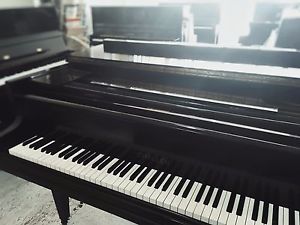 Grand Piano 24 hour Hire - Free UK Delivery & Tuning