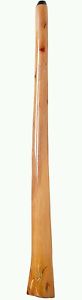 Stix Didgeridoo D#