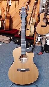 Walden G1070CEQ Acoustic/Elec guitar. Includes HSC. Solid Cedar Top.
