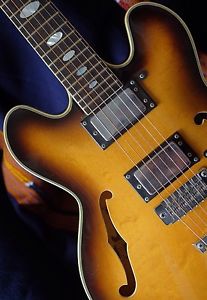 HOYER Vintage 12 string Archtop Made in GERMANY