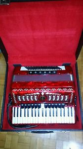 Fisarmonica 120 bassi con custodia
