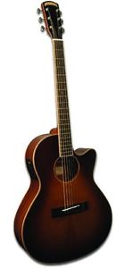 Elektro/Akustik Gitarre Parlor 00-Style Morgan Monroe Creekside MV-EC-01+Case