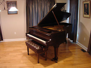 Gorgeous Mahogany Steinway B Grand Piano- Voiced for Professional Performer