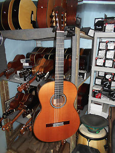 Cordoba C10 Canadian Cedar Top Acoustic Nylon String Classical Guitar