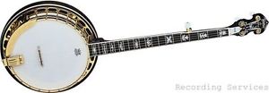 Washburn B17K 5- String Banjo with Case, Flamed Maple Resonator