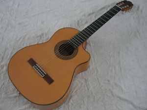 Sanchez Modell 3027 mit L.R.Baggs LB 6 Pickup