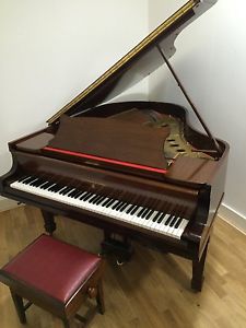 Steinway Grand Piano 1-day/1-evening Hire,Free Delivery & Tuning