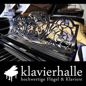 Komplett restaurierter Blüthner Flügel, Modell 6, 190cm, schwarz poliert