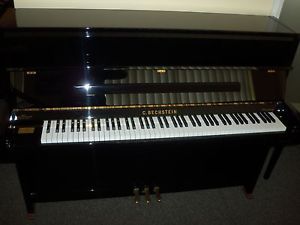 C.Bechstein Millinium Anniversary Model limited edition