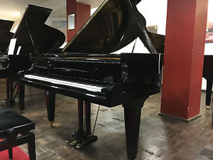 Bechstein-Flügel Mod M, 180cm lang, schwarz poliert