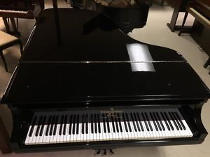 STEINWAY MODEL B GRAND PIANO. PERFECT WITH HAMBURG STYLE POLY FINISH!