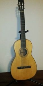 1890's Parlor Guitar with coffin case