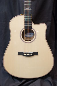 NEW 2016 Seagull Artist Cameo CW w/ LR Baggs Element & Tric Case
