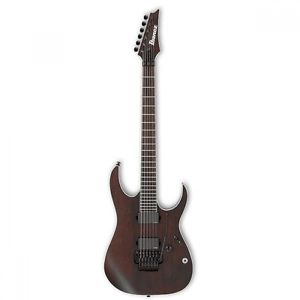 Ibanez Rgir20be 