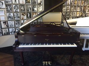 Weber WSG51 Baby Grand Elegant Design
