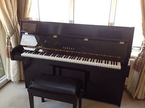 Yamaha Piano C1
