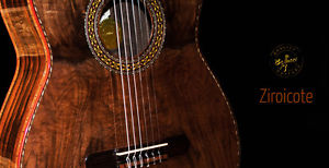 Ziricote B&S, Franquette Walnut Top Concert Cutaway Guitar, Perfect !