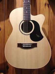 Maton PERFORMER in Hard Case