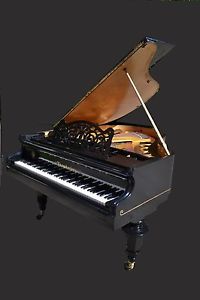 Bosendorfer  grand  piano & Free  Steinway  bench