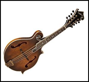 Washburn M118SWK Bluegrass Series F-Style Florentine Cutaway Mandolin with Case