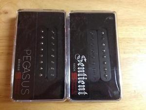 Seymour Duncan P