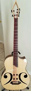 World's first neck through the body acoustic 5 String Bass guitar