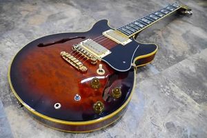 Ibanez AM205 Art