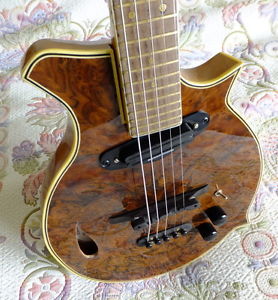 New Hand Built 5 String Electric Mandolin