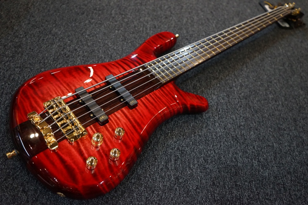 Warwick Custom S