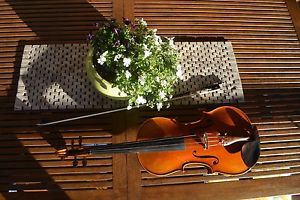Student Viola 16" Full size