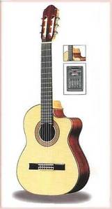 Raimundo 1498CE Handmade Small Acoustic/Electric-classical guitar "Requinto"