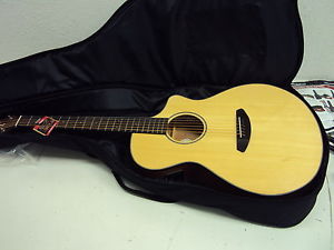 Breedlove Discov