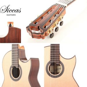 Armin Hanika – Fusion PC 2016  Konzertgitarre