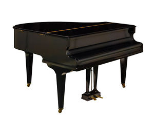Tesoro Nero - High Gloss Black Baby Grand Piano