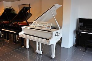 FEURICH Flügel, weiß poliert, 161-Professional, 5 J. Garantie