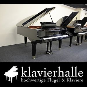 Apollo Flügel, 188cm, schwarz poliert - guter japanischer Markenflügel - Bj.1980