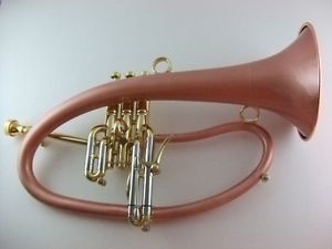 Taylor Phat Boy Flugelhorn in Lacquer - NEW!
